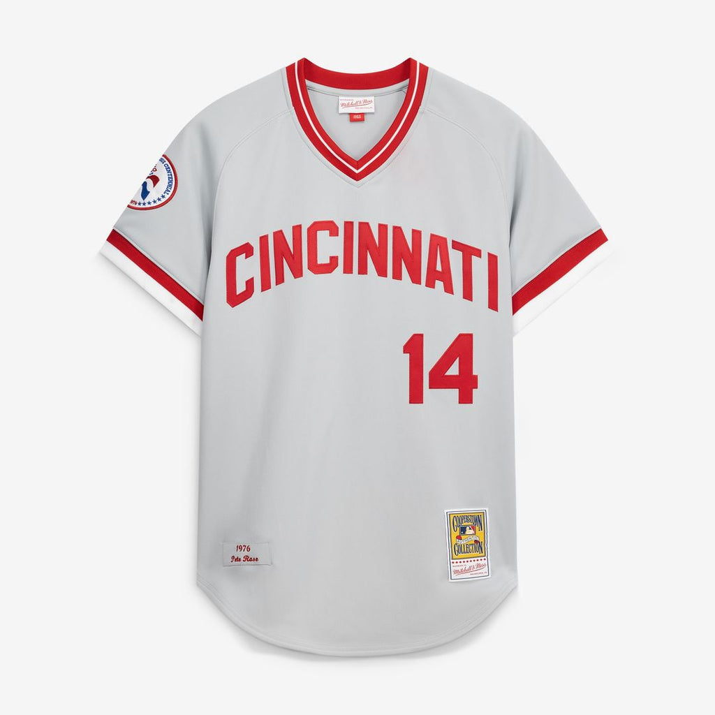 Pete Rose Cincinnati Reds Mitchell & Ness 1976 Authentic Jersey - Gray