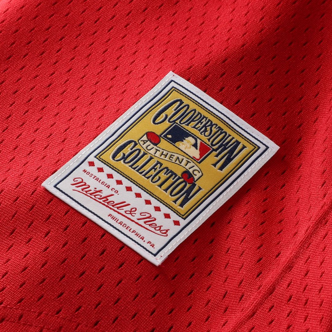 Ozzie Smith St. Louis Cardinals Mitchell & Ness Youth Cooperstown Collection Mesh Batting Practice Jersey - Navy