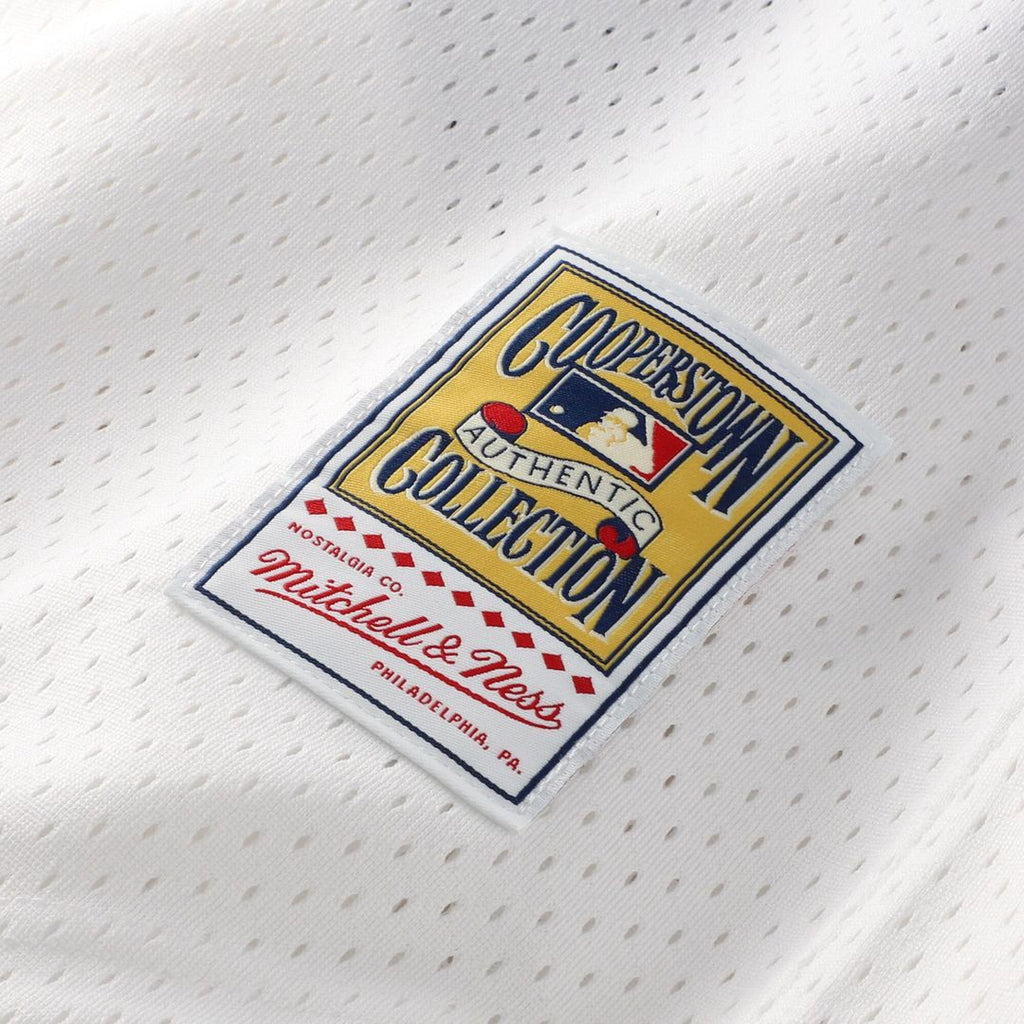 Carlton Fisk Chicago White Sox Mitchell & Ness Authentic Batting Practice Jersey - White