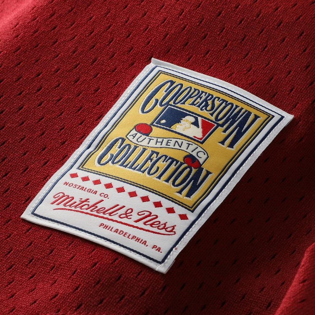 Lenny Dykstra Philadelphia Phillies Mitchell & Ness Authentic Batting Practice Jersey - Scarlet