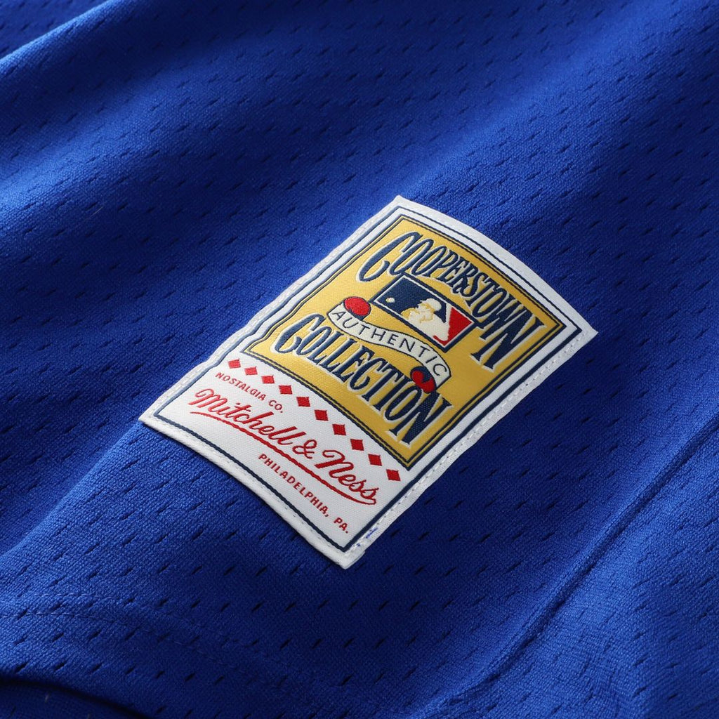 Dale Murphy Atlanta Braves Mitchell & Ness Authentic Batting Practice Jersey - Royal