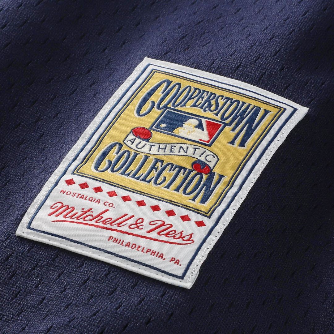 Ozzie Smith St. Louis Cardinals Mitchell & Ness Authentic Batting Practice Jersey - Scarlet
