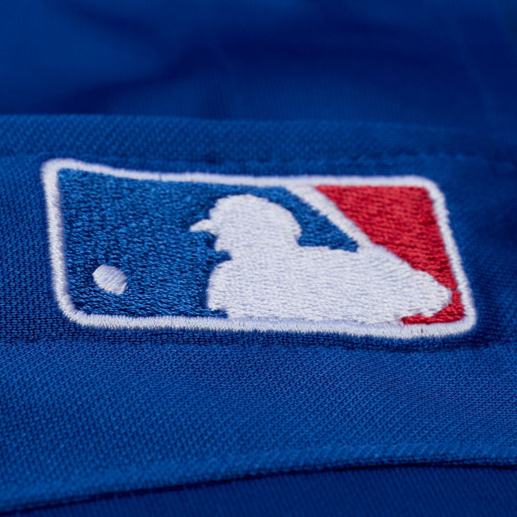 Adrian Beltre Texas Rangers Mitchell & Ness Cooperstown Mesh Batting Practice Button-Up Jersey - Royal