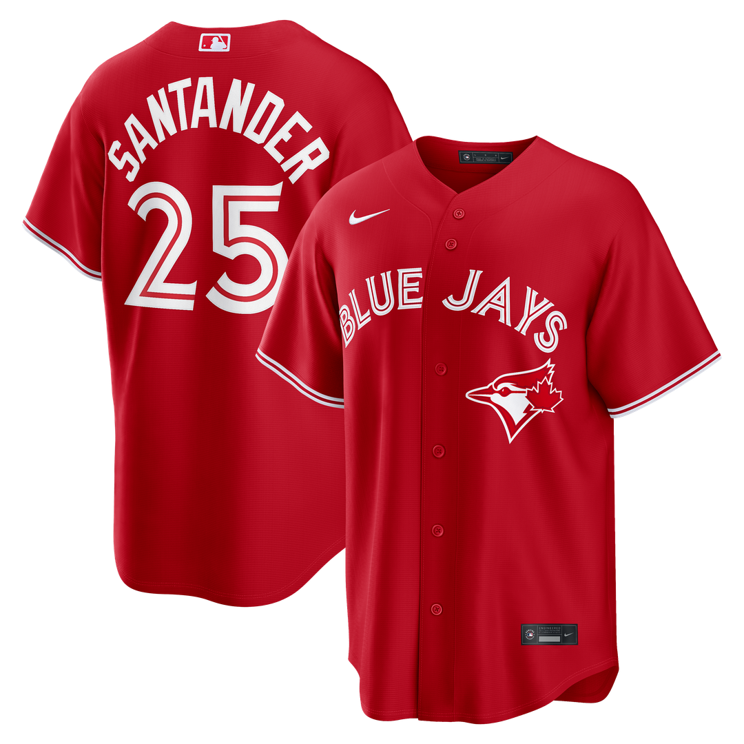Anthony Santander Toronto Blue Jays Nike Road Replica Jersey - Gray