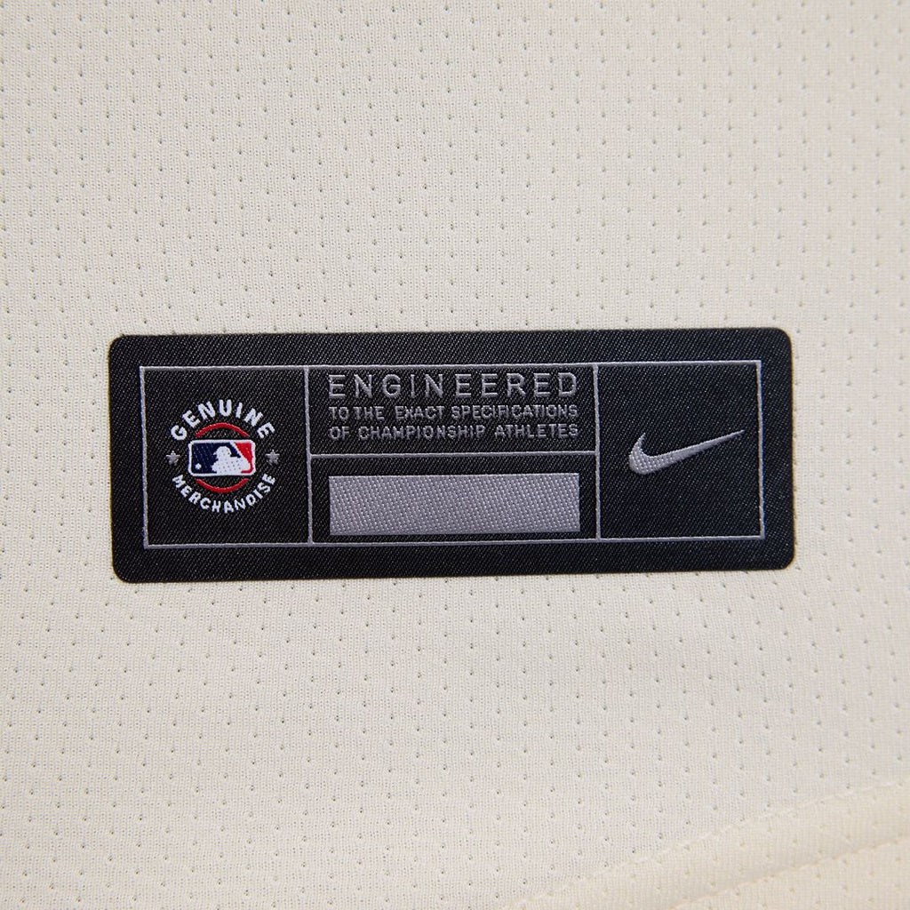 Ryan Howard Philadelphia Phillies Nike Women's Alternate Limited Jersey - Light Blue