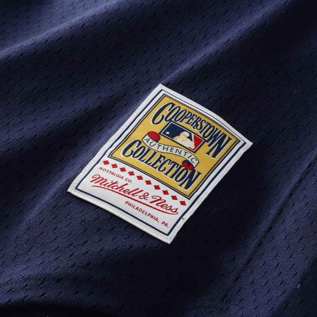 Alan Trammell Detroit Tigers Mitchell & Ness Authentic Batting Practice Jersey - Navy