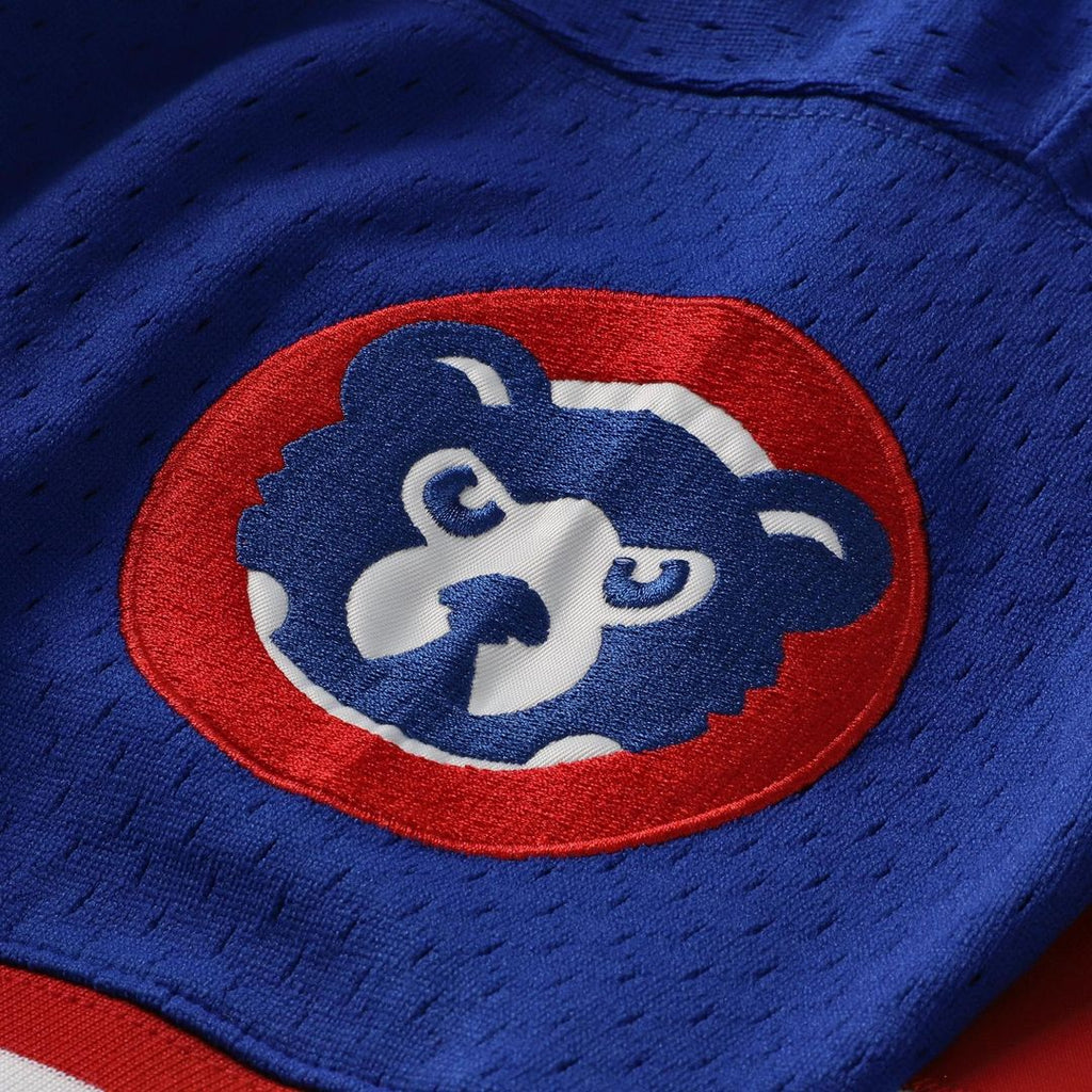 Ryne Sandberg Chicago Cubs Mitchell & Ness Cooperstown Collection 1996 Mesh Batting Practice Button-Up Jersey - Royal