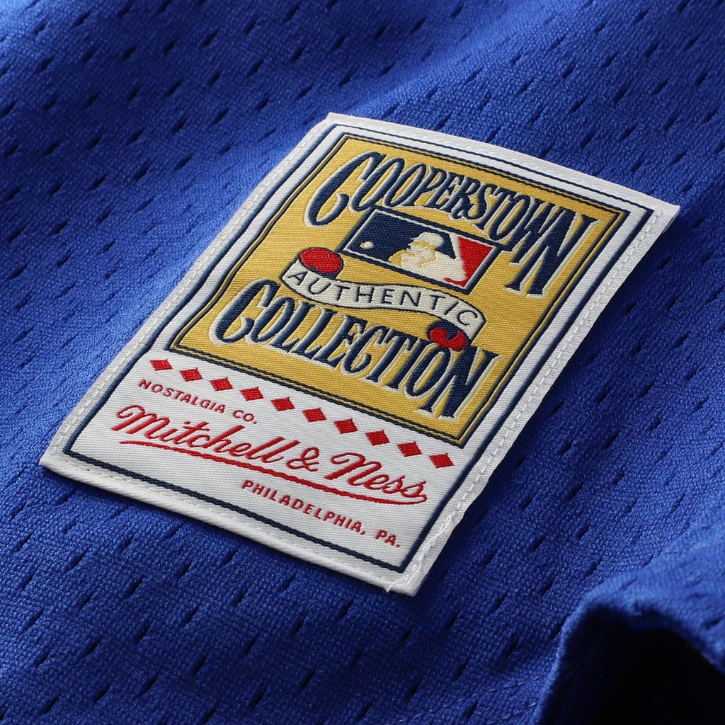Ryne Sandberg Chicago Cubs Mitchell & Ness Cooperstown Collection 1997 Mesh Batting Practice Button-Up Jersey - Royal
