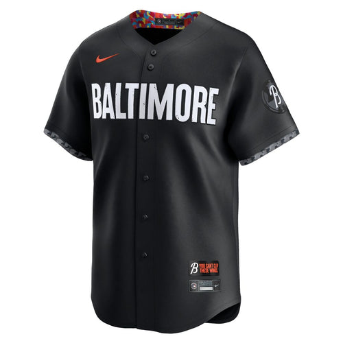 Adley Rutschman Baltimore Orioles Nike City Connect Limited Player Jersey - Black