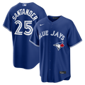 Anthony Santander Toronto Blue Jays Nike Alternate Replica Jersey - Royal
