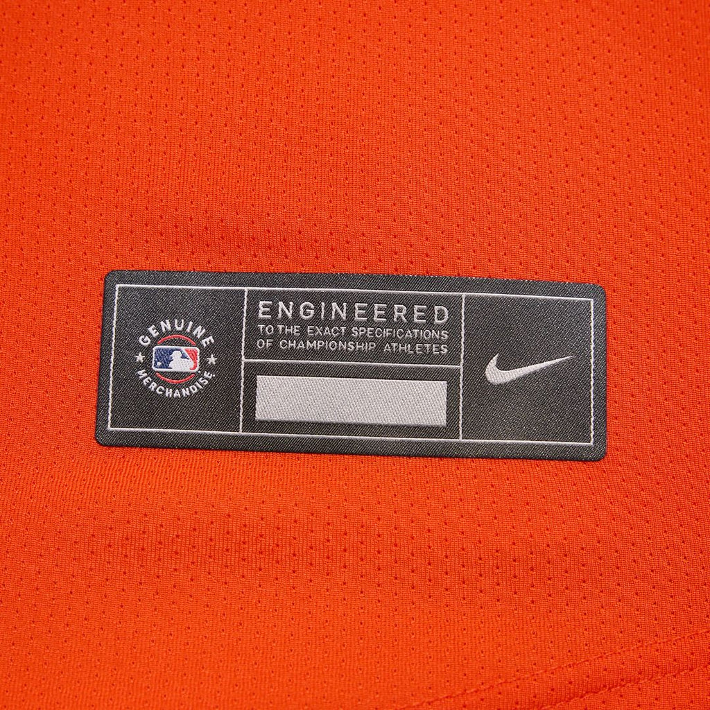 Adley Rutschman Baltimore Orioles Nike 2nd Alternate Limited Player Jersey - Orange