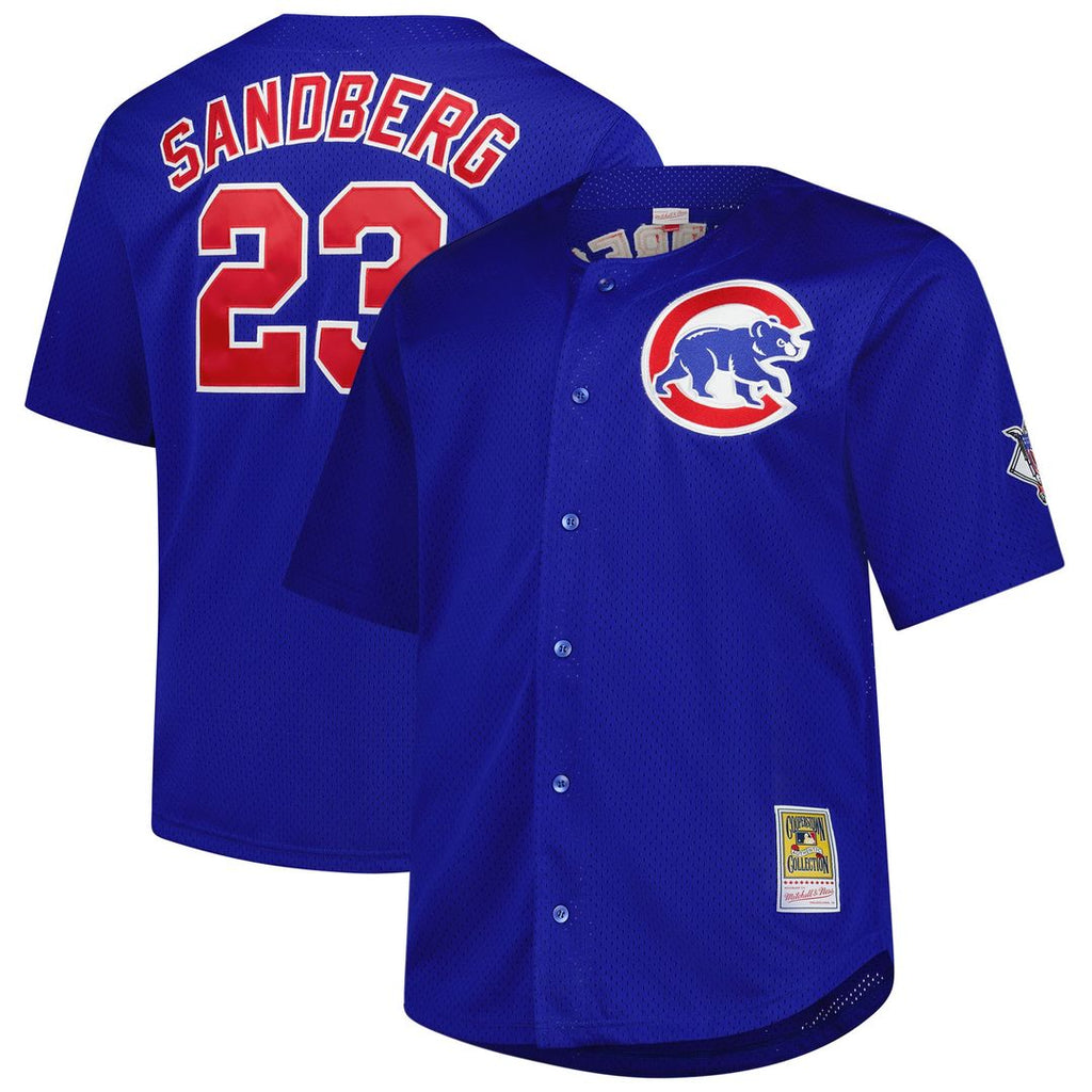 Ryne Sandberg Chicago Cubs Mitchell & Ness Big & Tall Cooperstown Mesh Batting Practice Jersey - Royal
