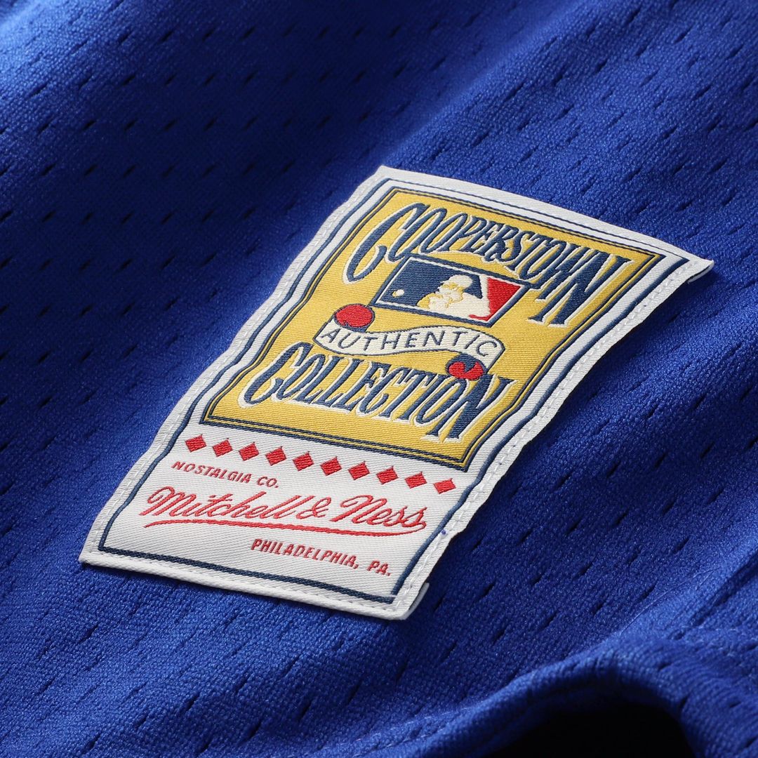 Ryne Sandberg Chicago Cubs Mitchell & Ness Cooperstown Collection 1996 Mesh Batting Practice Button-Up Jersey - Royal
