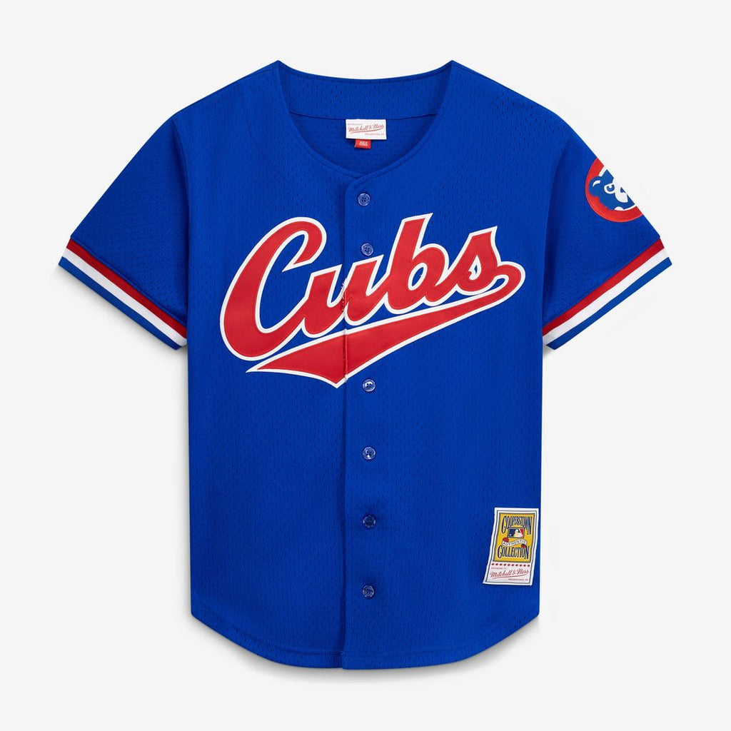 Ryne Sandberg Chicago Cubs Mitchell & Ness Cooperstown Collection 1996 Mesh Batting Practice Button-Up Jersey - Royal