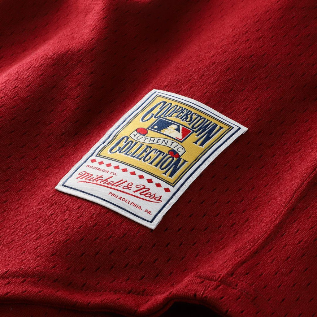 Darren Daulton Philadelphia Phillies Mitchell & Ness Authentic Batting Practice Jersey - Scarlet